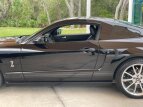 Thumbnail Photo 2 for 2008 Ford Mustang Shelby GT500 Coupe